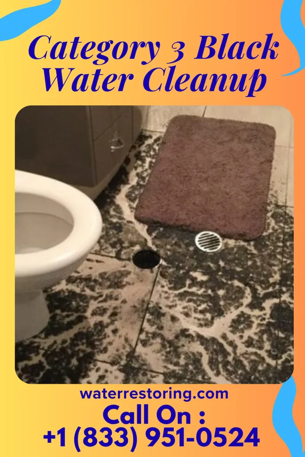 Category 3 Black Water Cleanup in Wahak Hotrontk, AZ